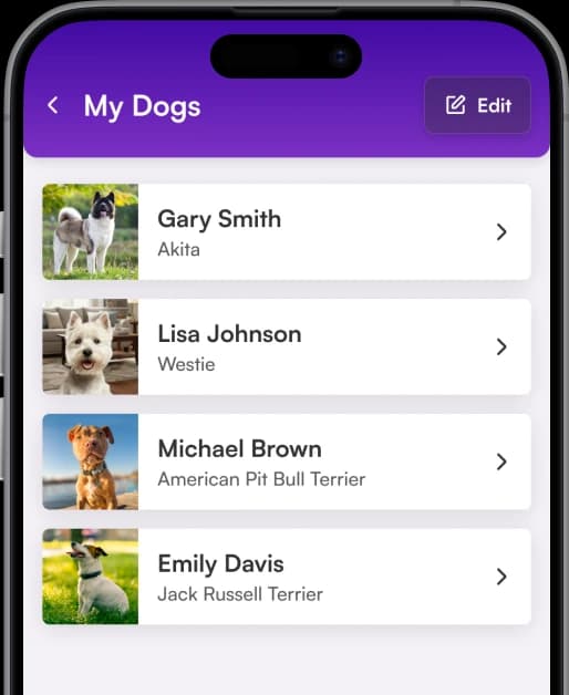 Your Dogs, Organized