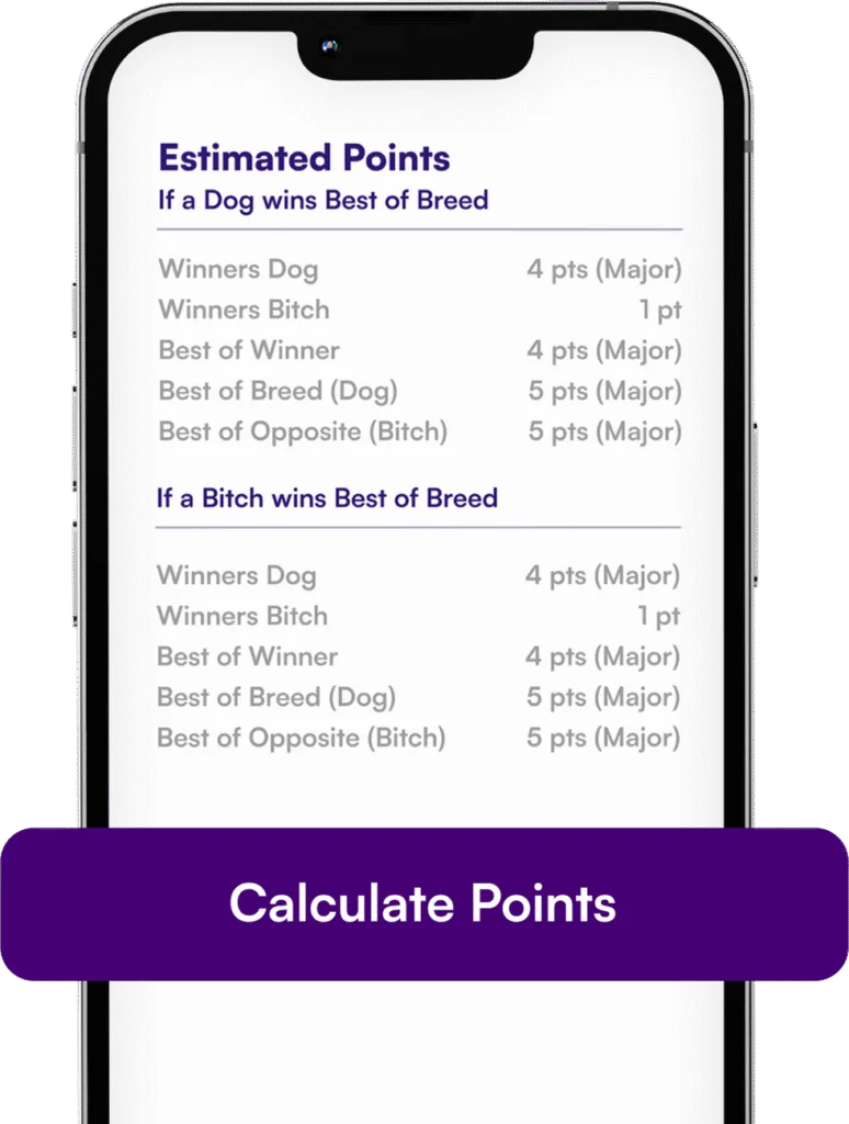 Estimate Points with Confidence 2