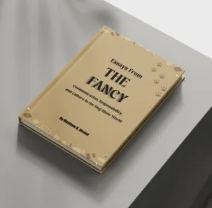Free Book Mockup 1