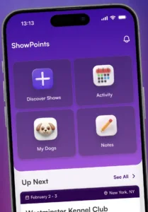 Image 3 4 26 at 11.33 AM